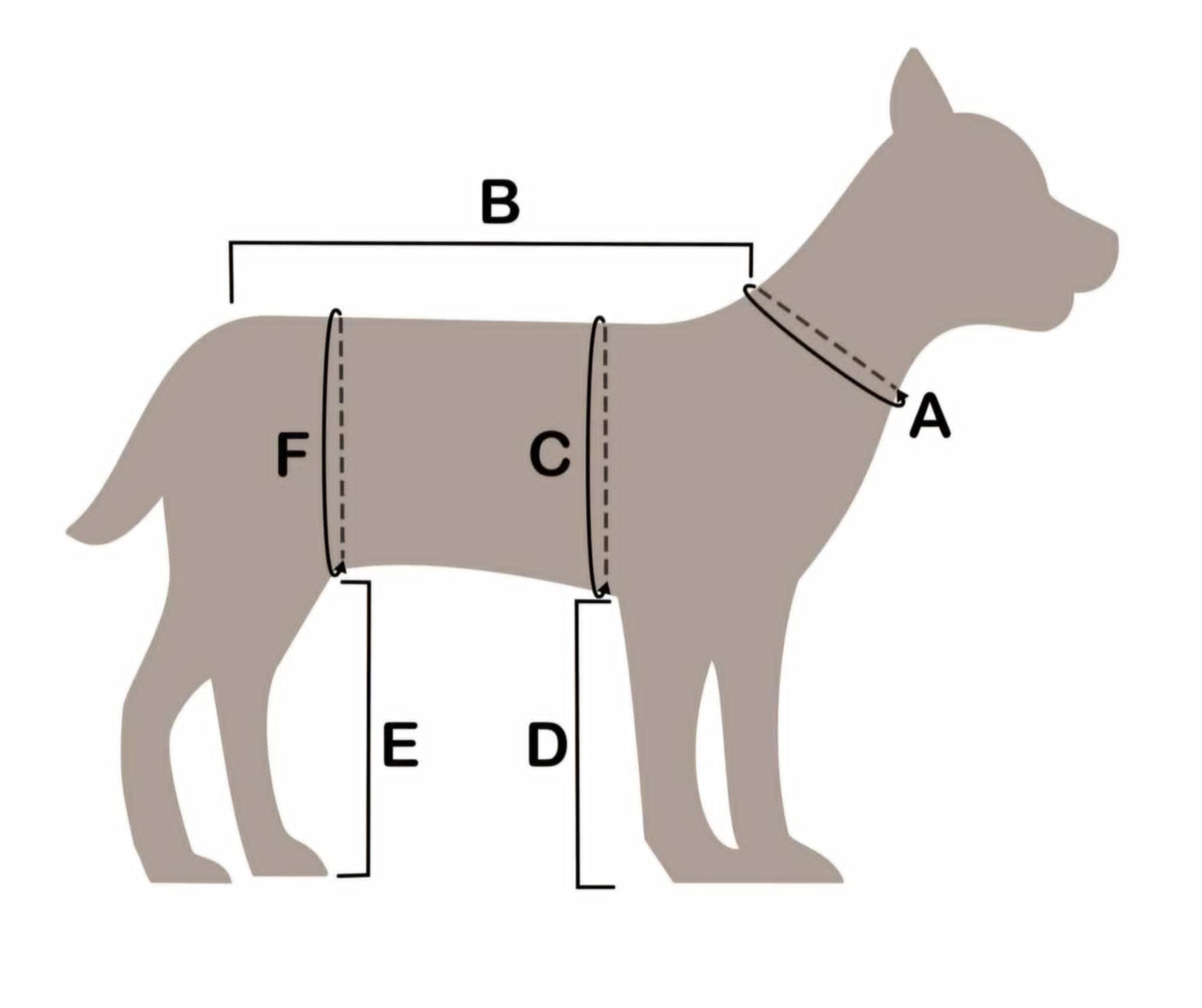 Schemat pomiarów psa