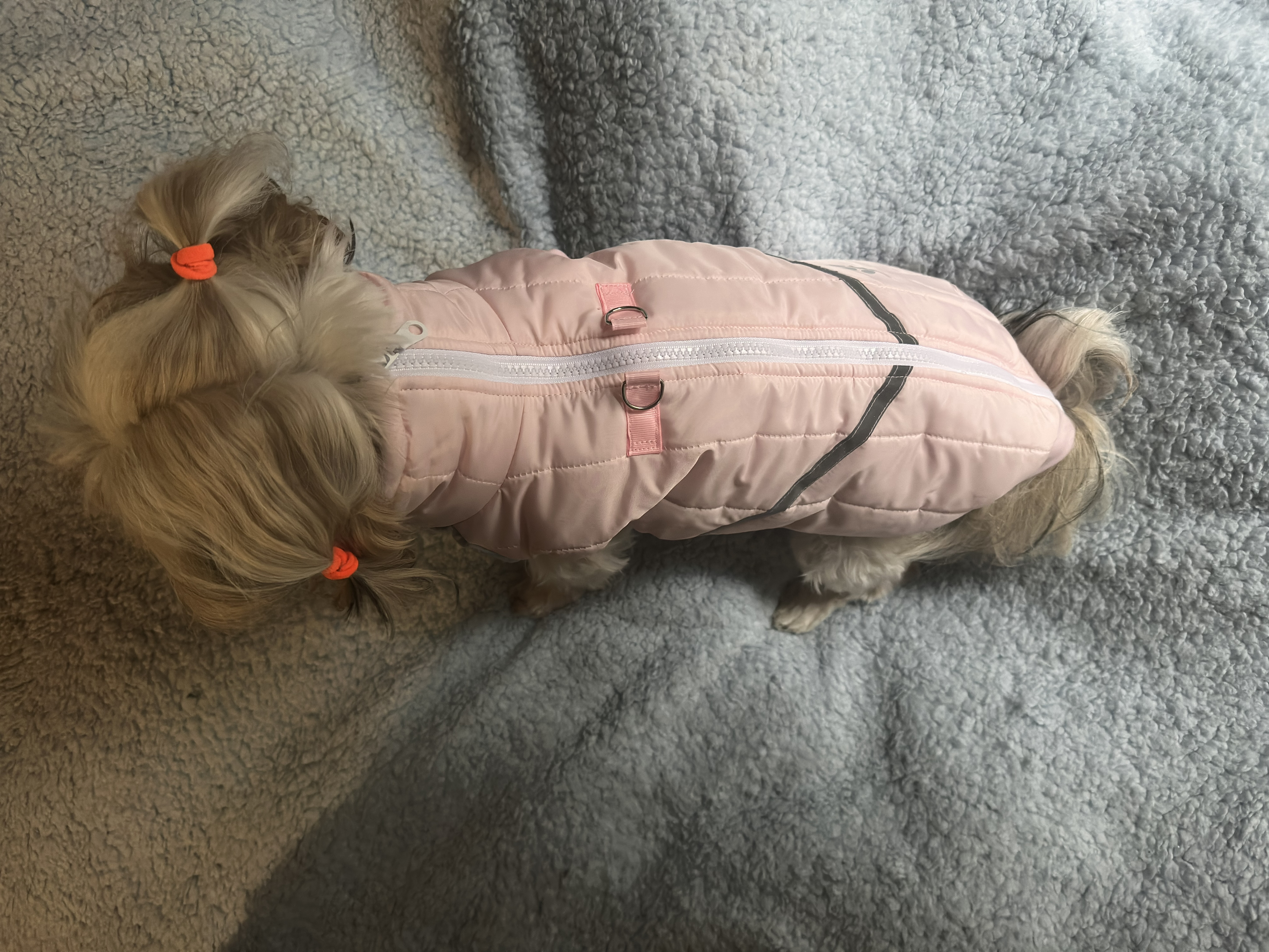 Kurtka zimowa - zdjecie 1