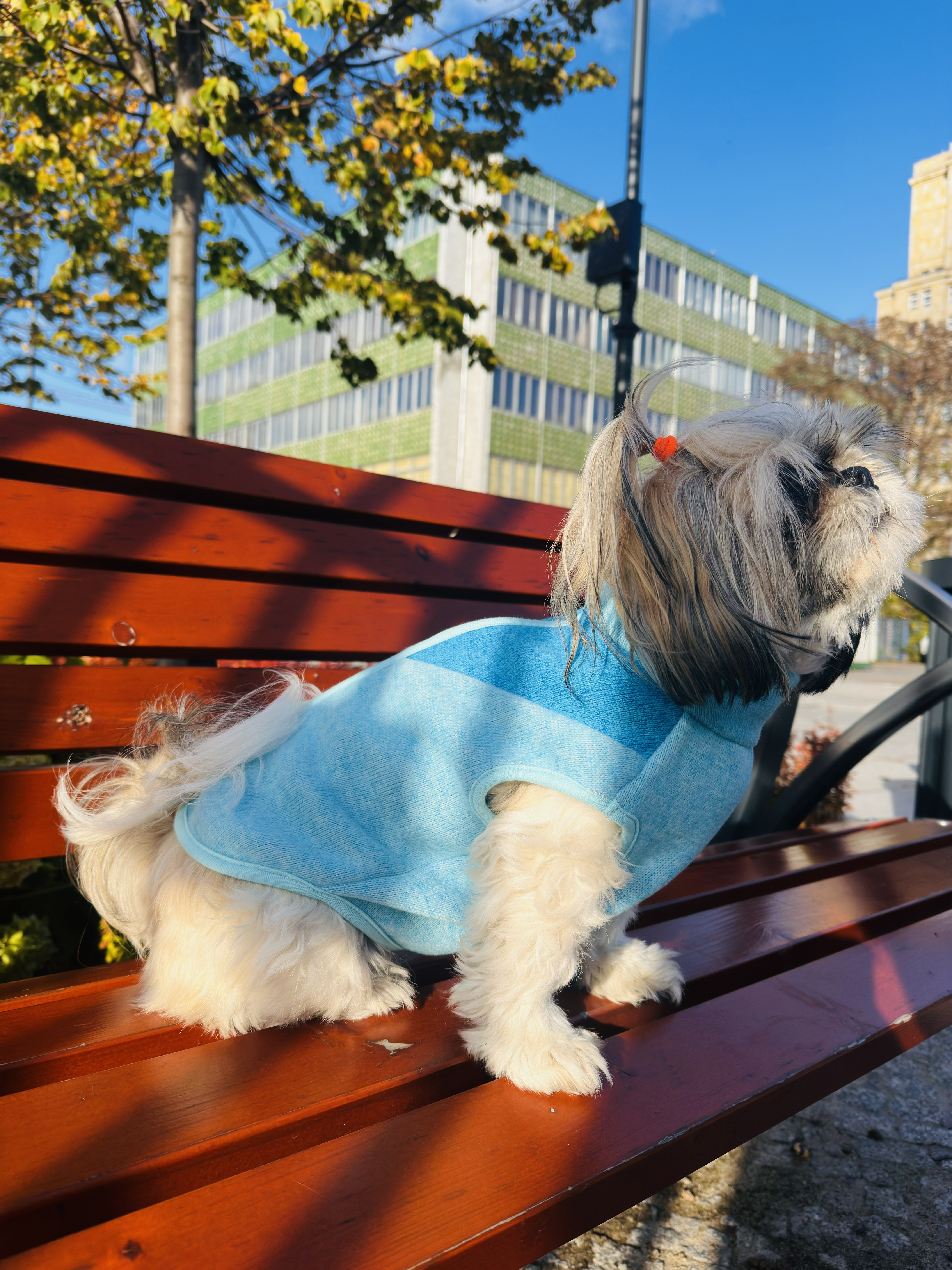 Kamizelka z dzianiny swetrowej ocieplanej miniatura 2