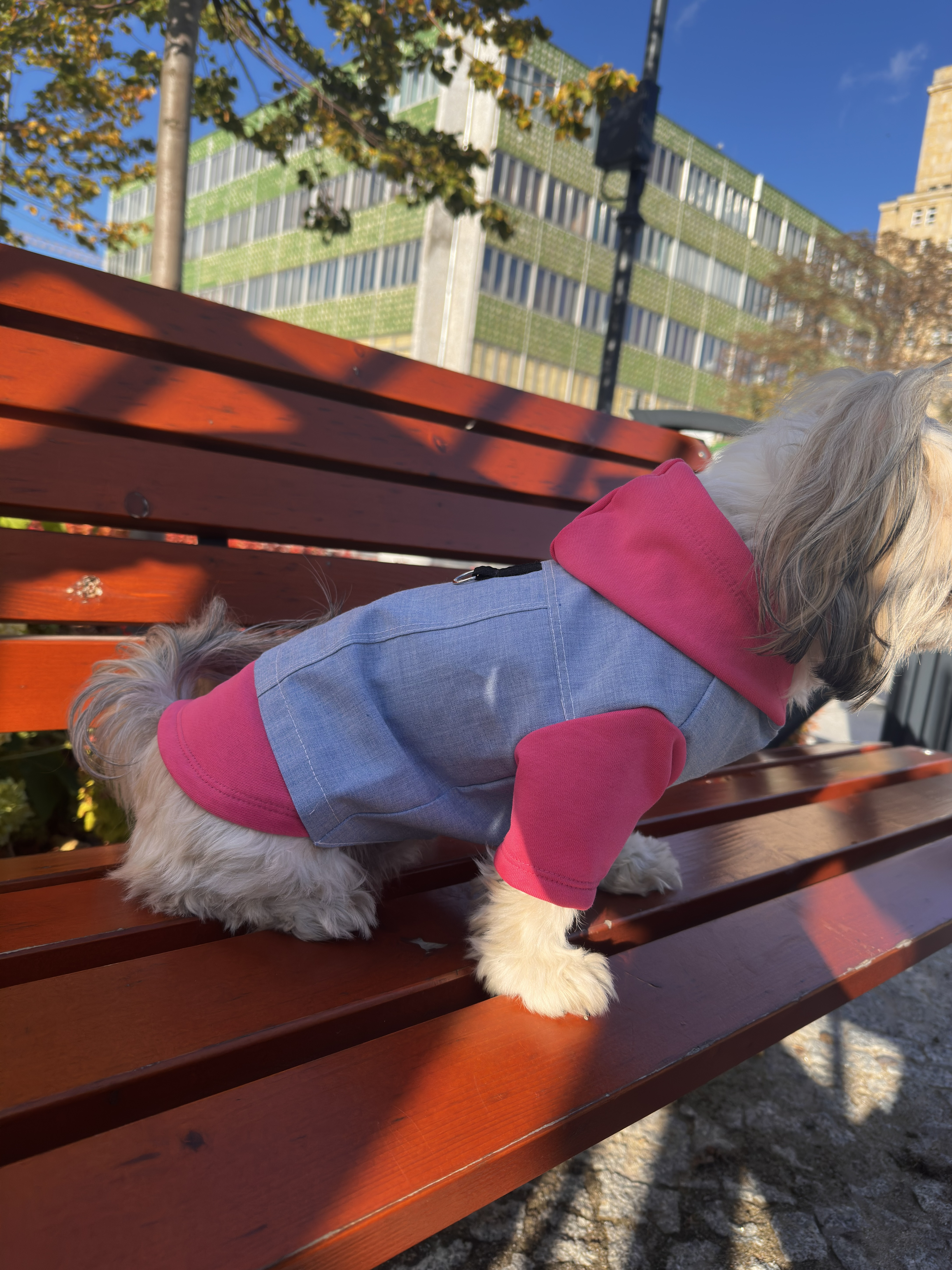 Kurtko bluza miniatura 2